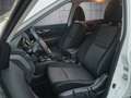 Nissan X-Trail 1.3 DIG-T N-Connecta LED+Navi+Pano AHK Weiß - thumbnail 9
