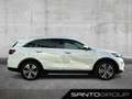 Kia Sorento Sorento 2.2 CRDi GT-Line 4WD 7-Sitzer NAVI PANO BC Weiß - thumbnail 3
