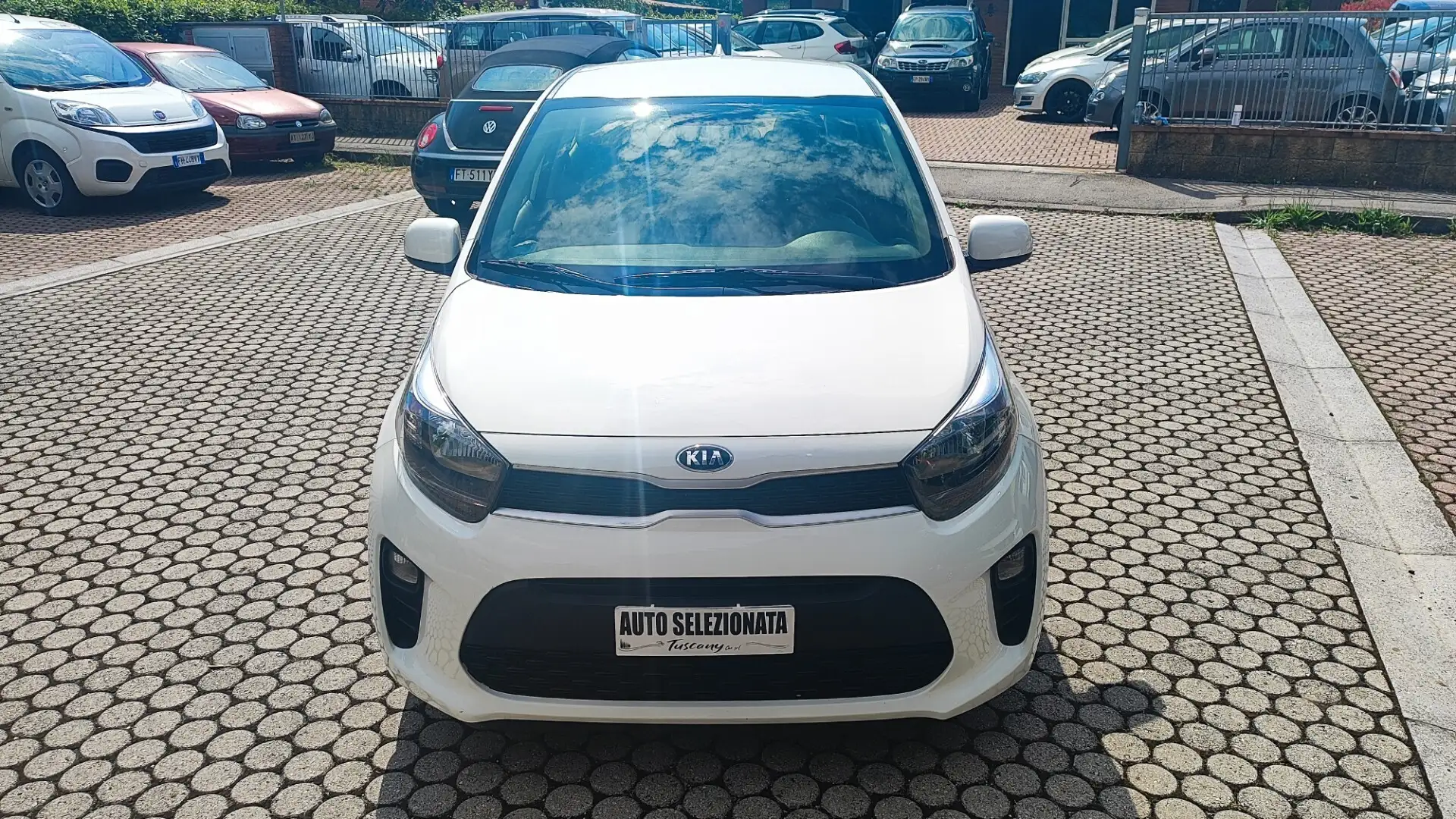 Kia Picanto 1.0 12V 5 porte Style Wit - 2