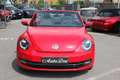 Volkswagen Maggiolino CABRIO 1.2 TSI DESIGN DSG 105CV BELLISSIMA!! Rouge - thumbnail 2
