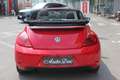 Volkswagen Maggiolino CABRIO 1.2 TSI DESIGN DSG 105CV BELLISSIMA!! Rouge - thumbnail 5