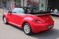 Volkswagen Maggiolino CABRIO 1.2 TSI DESIGN DSG 105CV BELLISSIMA!! Rouge - thumbnail 6
