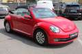 Volkswagen Maggiolino CABRIO 1.2 TSI DESIGN DSG 105CV BELLISSIMA!! Rouge - thumbnail 3