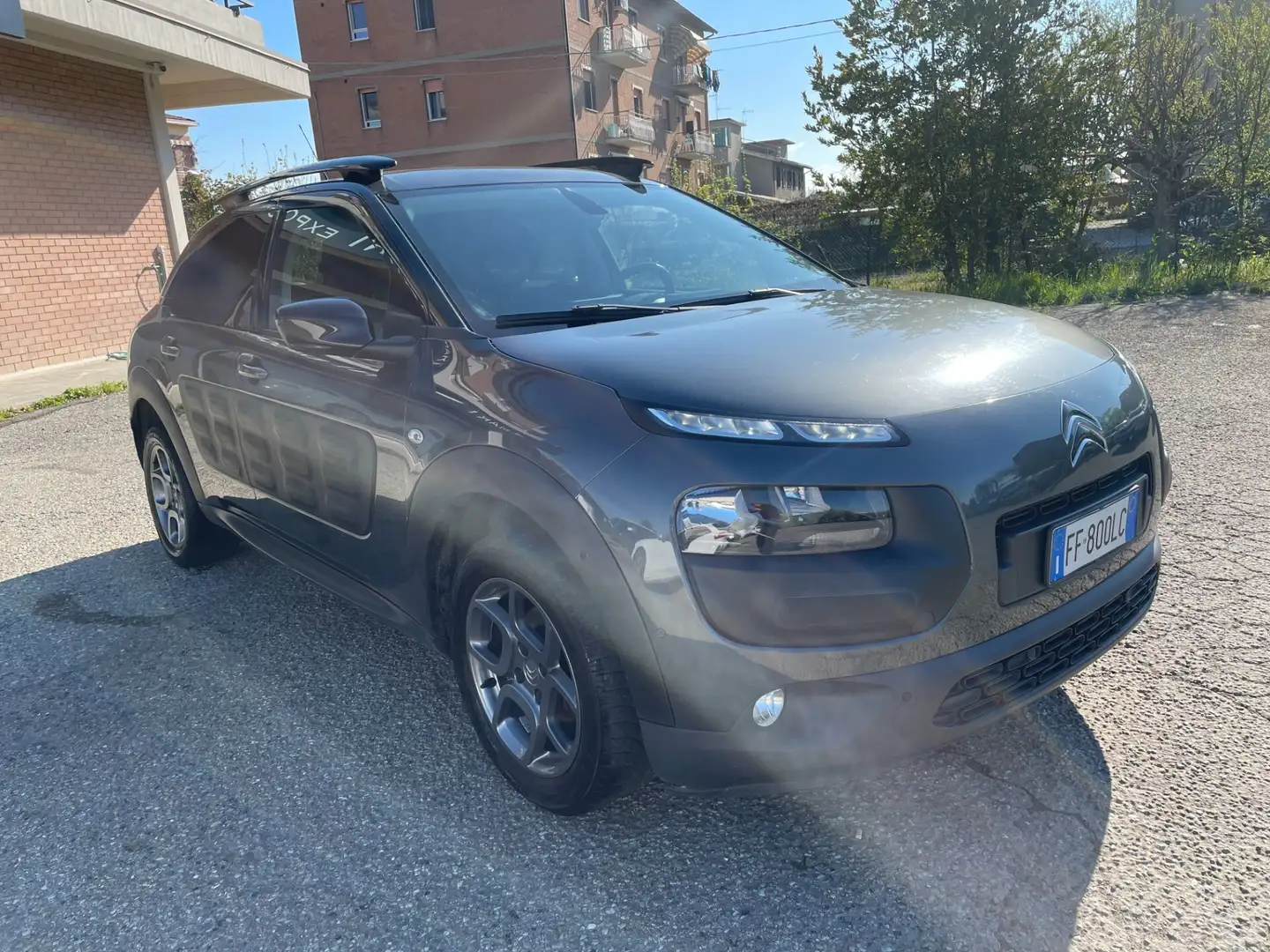 Citroen C4 Cactus PureTech 82 Shine GPL SCAD. 08/2027 Gris - 2