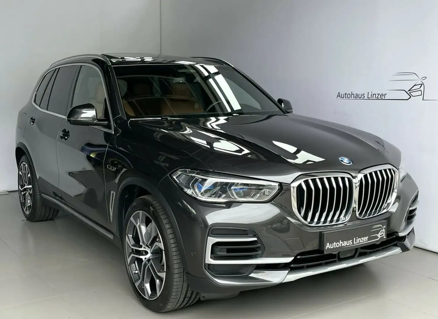 BMW X5 xDrive 45e M-Lenkrad *LASER*PANO*AHK*360*HuD*21 Grau - 1