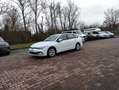 Volkswagen Golf Life  1.0 eTSI+110Ps+DSG+AHZV+Navi+ACC+PDC+ Blanco - thumbnail 16