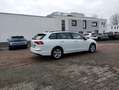 Volkswagen Golf Life  1.0 eTSI+110Ps+DSG+AHZV+Navi+ACC+PDC+ Blanco - thumbnail 22