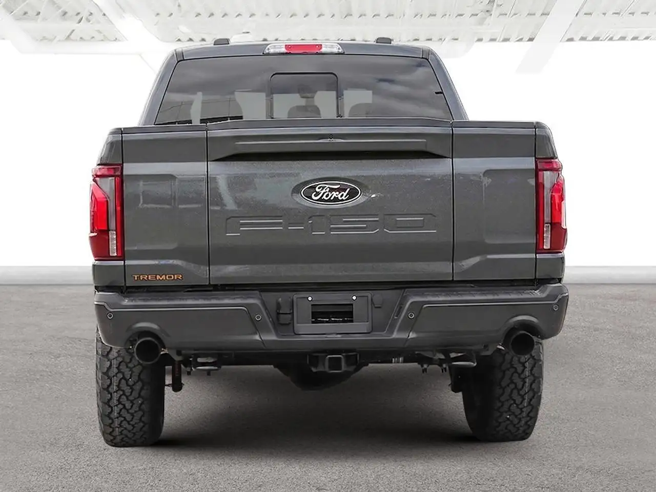Ford F 150 fotografie Ford F 150