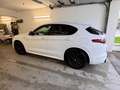 Alfa Romeo Stelvio Stelvio Veloce 2,2 16V 210 AT8 Q4 Veloce Weiß - thumbnail 3