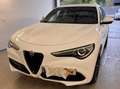 Alfa Romeo Stelvio Stelvio Veloce 2,2 16V 210 AT8 Q4 Veloce Weiß - thumbnail 4