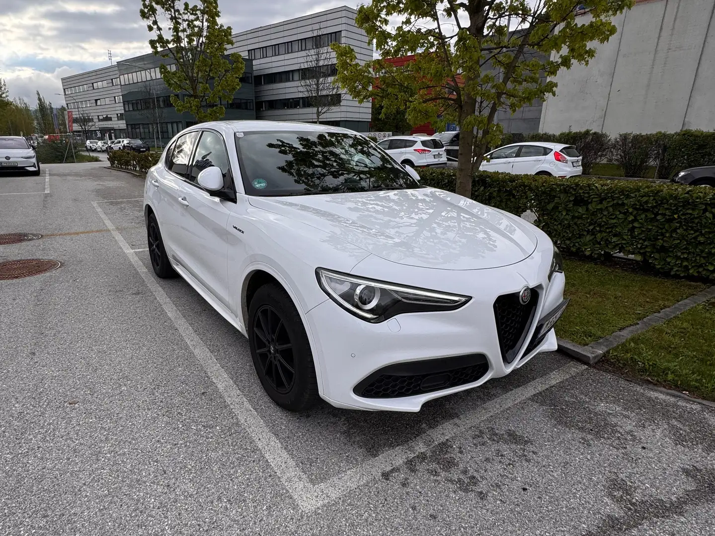 Alfa Romeo Stelvio Stelvio Veloce 2,2 16V 210 AT8 Q4 Veloce Weiß - 1