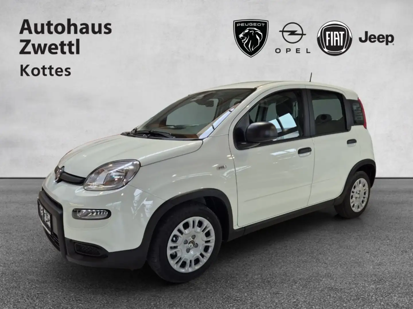 Fiat Panda PT 70 Weiß - 1