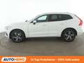 Volvo XC60 2.0 T4 R Design 2WD Aut.*NAV*LED*ACC*PDC*SHZ Blanc - thumbnail 3