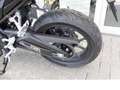 Honda Hornet CB 500 Hornet ABS+LED A2/35KW SOFORT VERFÜGBAR Wit - thumbnail 14