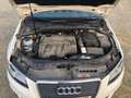 Audi A3 SB Ambition 2,0 TDI DPF Weiß - thumbnail 5