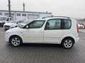 Skoda Roomster Comfort 1.9 Diesel, PDC, ALU, Klima Bianco - thumbnail 8