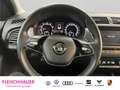 Skoda Fabia Combi 1.0 TSI Drive 125 Best Of Panorama Weiß - thumbnail 10
