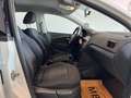 Volkswagen Polo 1.0 Lounge | Service NEU | 15" Alu | mtl. ab 113€ Weiß - thumbnail 20