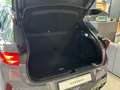 CUPRA Terramar 2.0 TSI 4Drive  Akebono Sennheiser Matrix Pano Hea Grau - thumbnail 7