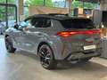 CUPRA Terramar 2.0 TSI 4Drive  Akebono Sennheiser Matrix Pano Hea Grau - thumbnail 5