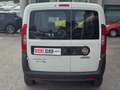 Fiat Doblo 5 posti Blanc - thumbnail 5