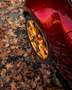 Mazda MX-5 MX-5 ND 2.0 Sport 184cv Gold Edition Rosso - thumbnail 4