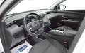 Hyundai TUCSON 1.6 CRDI 48V Tecno 2C 4x2 DT Blanco - thumbnail 8