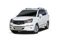 SsangYong Rodius D22T Limted Grau - thumbnail 4