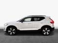 Volvo XC40 T4 Recharge DKG Ultimate Dark Pano-Dach/ACC/H Bianco - thumbnail 5