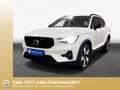 Volvo XC40 T4 Recharge DKG Ultimate Dark Pano-Dach/ACC/H Bianco - thumbnail 1