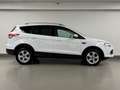 Ford Kuga 1.6 ECOBOOST 150CV TITANIUM 1ere MAIN GPS Weiß - thumbnail 4