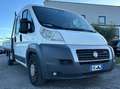 Fiat Ducato 7 Posti con Cassone Blanc - thumbnail 3