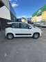 Fiat Panda 1.2 Pop 51kW (69CV) EU6 Blanco - thumbnail 4