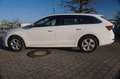 Skoda Octavia DSG NAVI*ACC*TOTWINK*SPUR*HEAD-UP*MEMORY Weiß - thumbnail 6