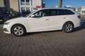 Skoda Octavia DSG NAVI*ACC*TOTWINK*SPUR*HEAD-UP*MEMORY Weiß - thumbnail 9