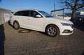 Skoda Octavia DSG NAVI*ACC*TOTWINK*SPUR*HEAD-UP*MEMORY Weiß - thumbnail 4