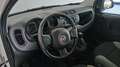 Fiat Panda Panda III 2021 1.0 firefly hybrid s Bianco - thumbnail 6