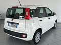 Fiat Panda Panda III 2021 1.0 firefly hybrid s Bianco - thumbnail 4