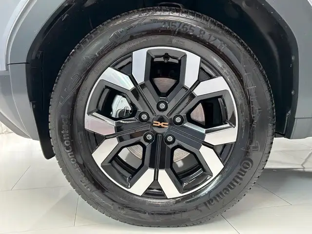 Dacia Duster view 10