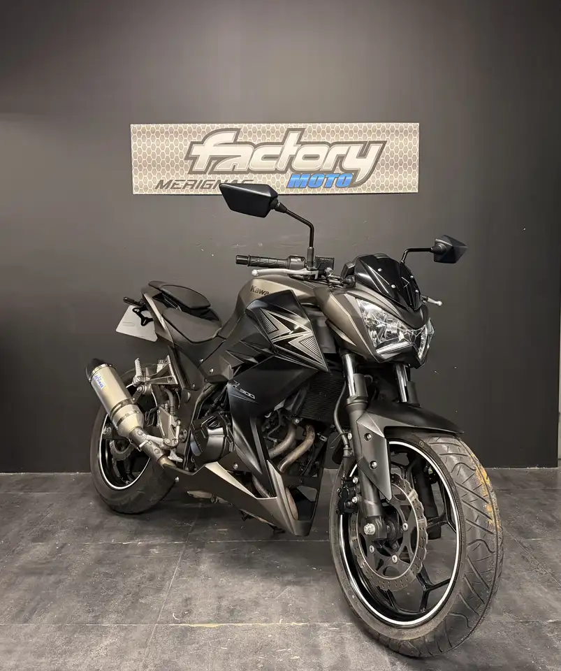 Kawasaki Z 300