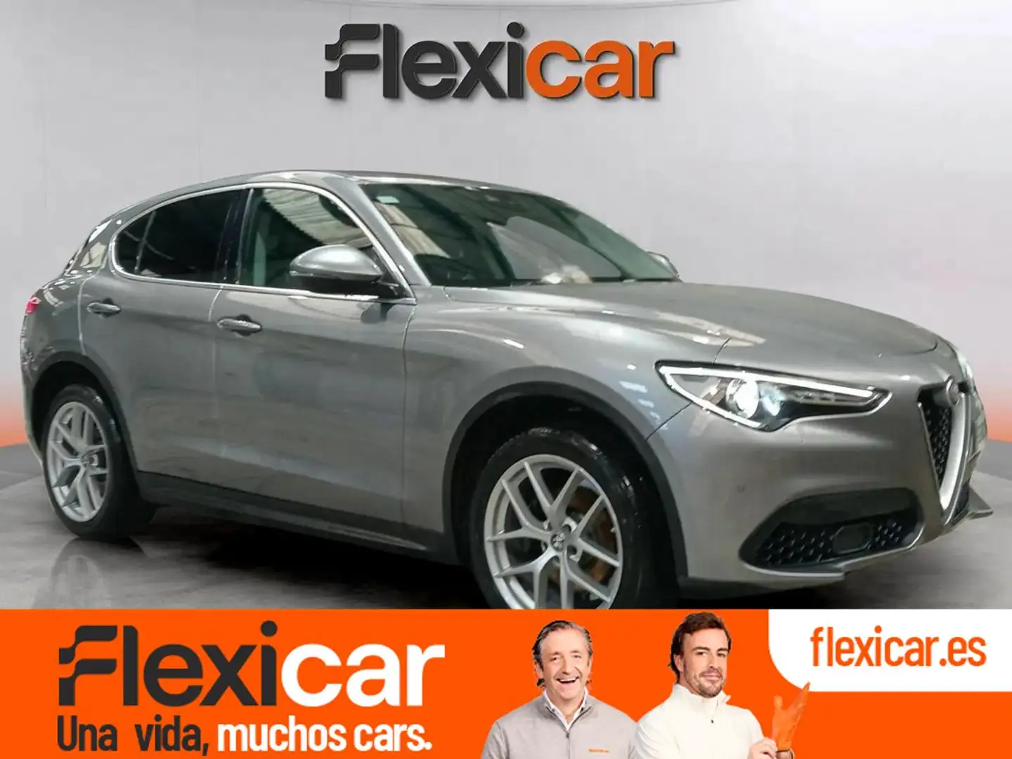 Alfa Romeo Stelvio 2.0 Petrol 206kW (280CV) First Ed.I Q4 Gris - 1