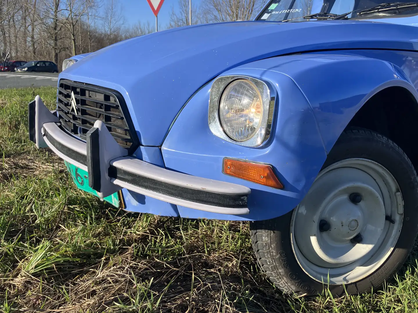 Citroen Acadiane Fourgonnette Azul - 2