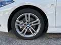 BMW 118 118dA Business Blanco - thumbnail 29