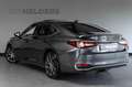 Lexus ES 300 300h Executive Line Adaptief Cruise Lane Carplay Gris - thumbnail 2