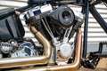 Overig Big twin shp elsdorf -  Harley Davidson Project ze - thumbnail 21