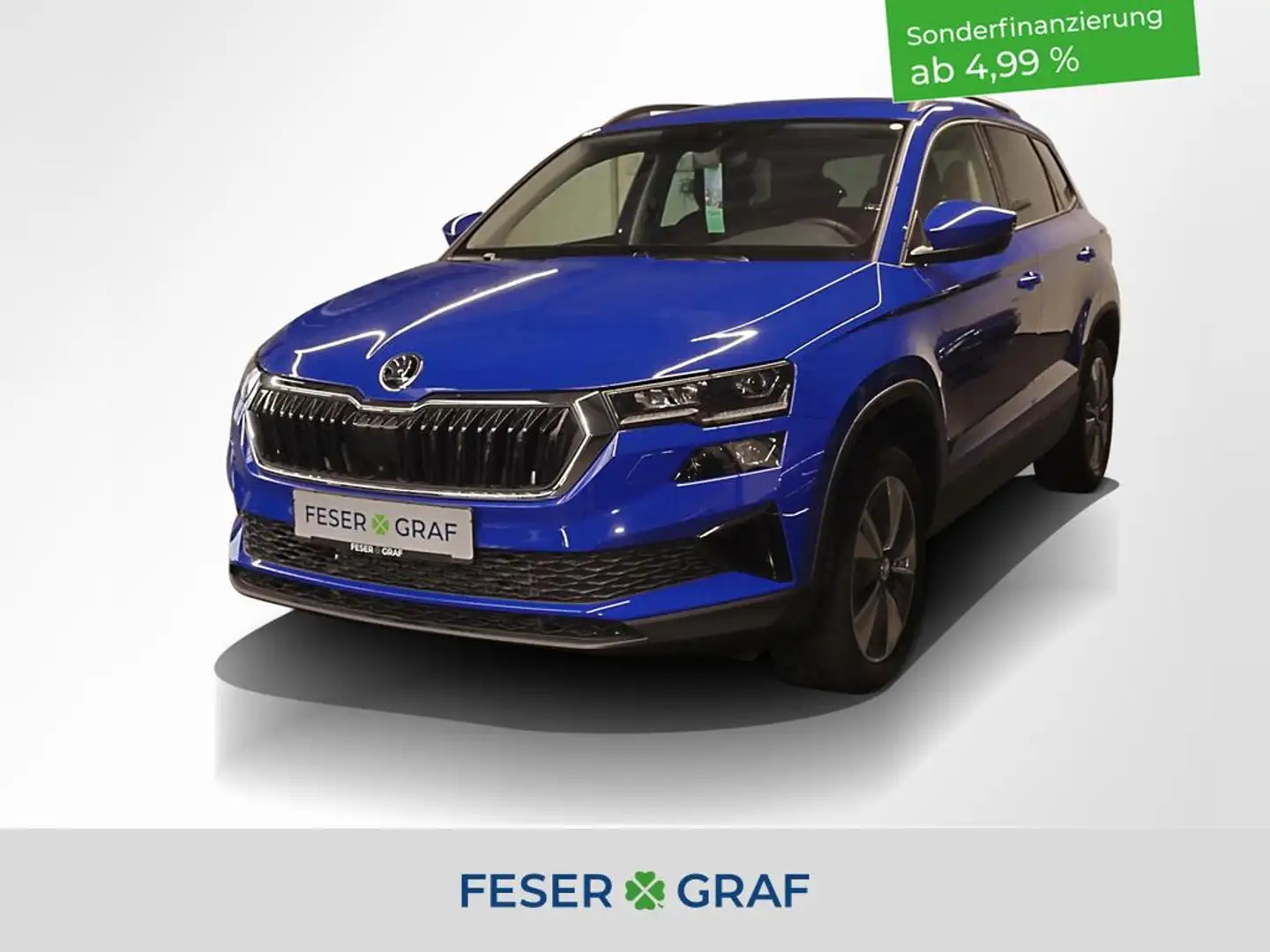 Skoda Karoq Karoq Selection 1,5 TSI DSG Tempomat Navi Blu/Azzurro - 1