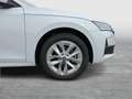 Skoda Octavia 4x4 Selection TSI DSG Weiß - thumbnail 6