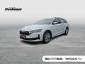 Skoda Octavia 4x4 Selection TSI DSG Weiß - thumbnail 1