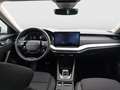 Skoda Octavia 4x4 Selection TSI DSG Weiß - thumbnail 10