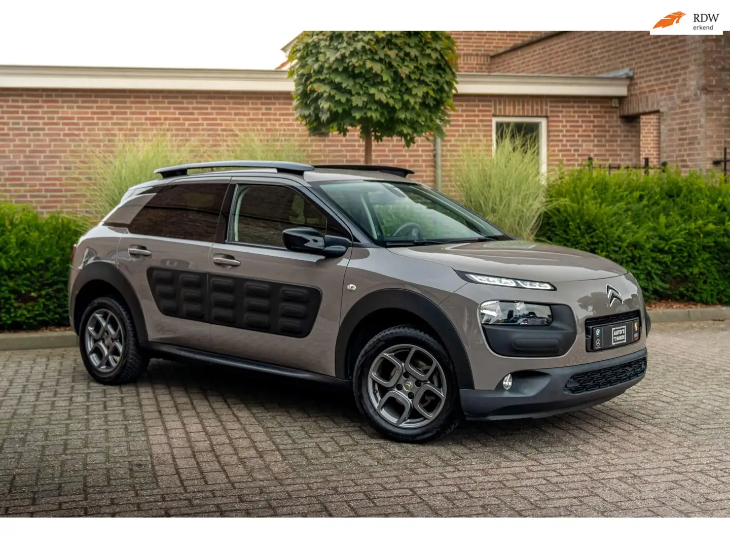 Citroen C4 Cactus 1.2 PureTech Business Plus Grijs - 1